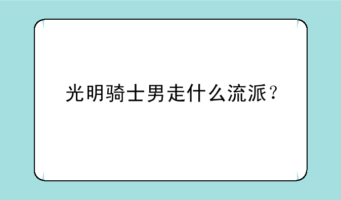 光明骑士男走什么流派？