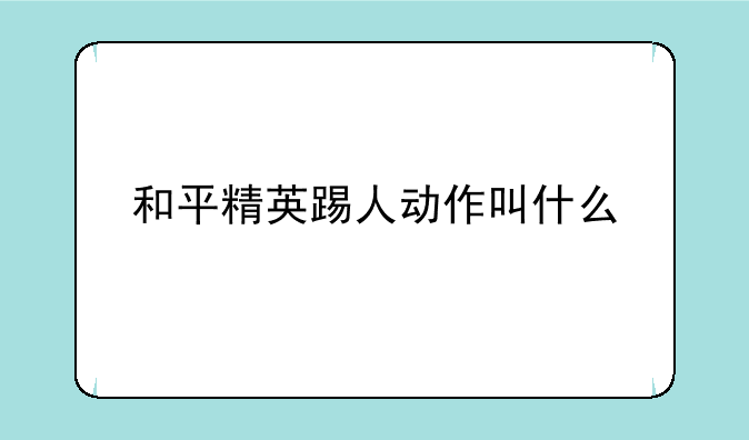 和平精英踢人动作叫什么