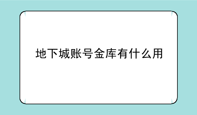 地下城账号金库有什么用