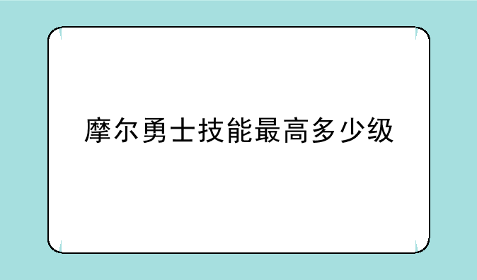 摩尔勇士技能最高多少级