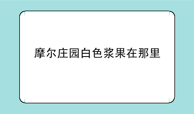 摩尔庄园白色浆果在那里