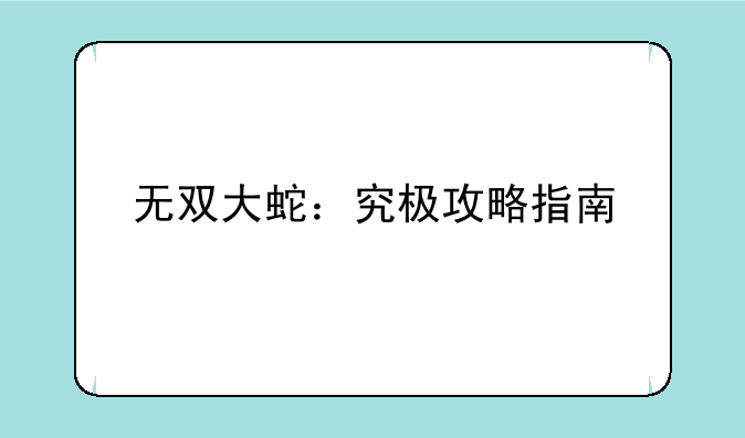 无双大蛇：究极攻略指南