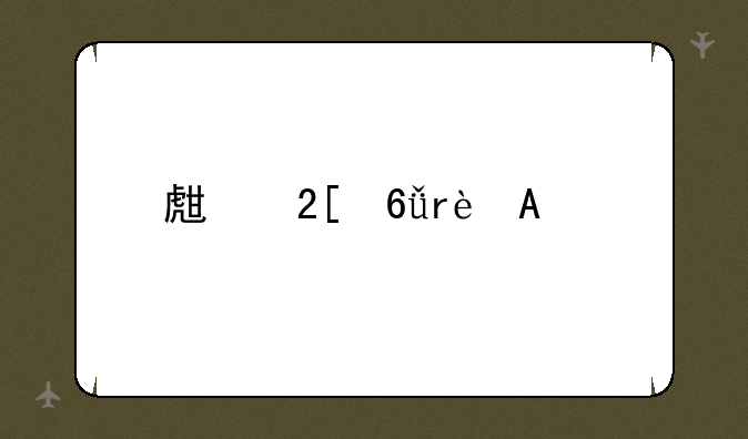 生化危机6PC版存档问题？
