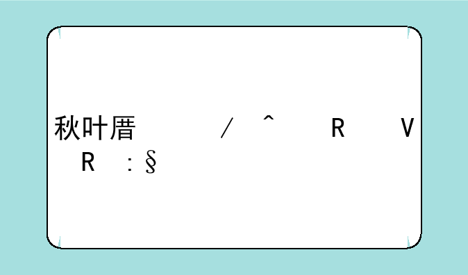 秋叶原之旅攻略电玩巴士