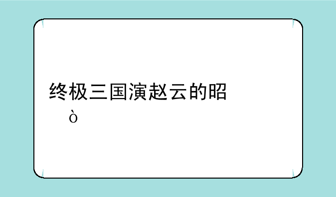 终极三国演赵云的是谁？