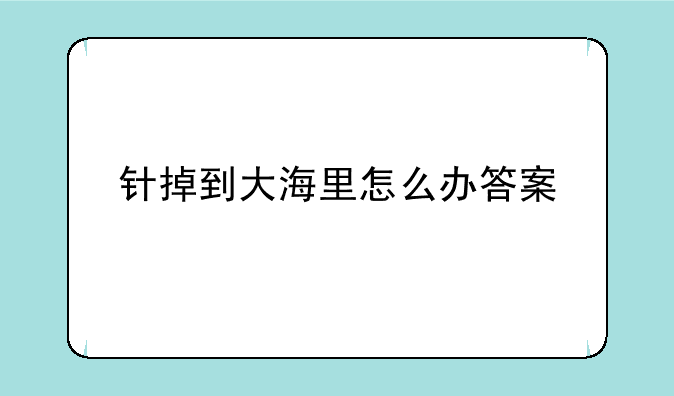 针掉到大海里怎么办答案