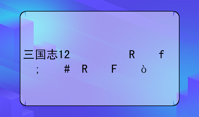 三国志12修改器怎么用呀？