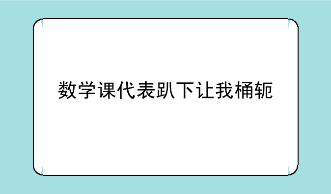 数学课代表趴下让我桶软件
