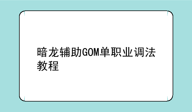 暗龙辅助GOM单职业调法教程