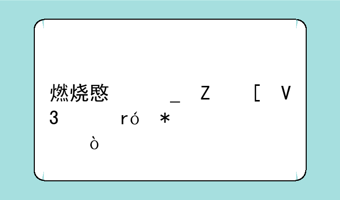 燃烧意志新世界鹰眼加点？