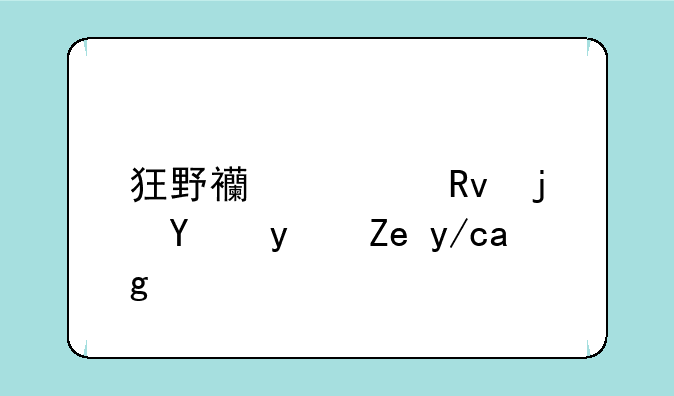 狂野西部生死同盟锁住的门