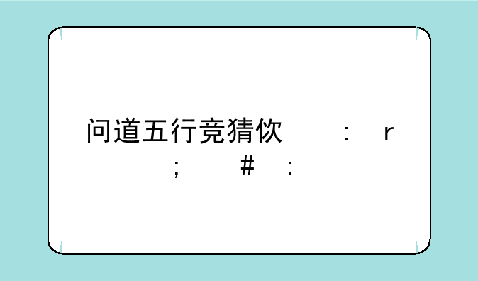 问道五行竞猜使现在怎么玩