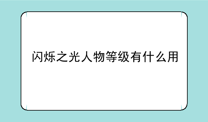 闪烁之光人物等级有什么用