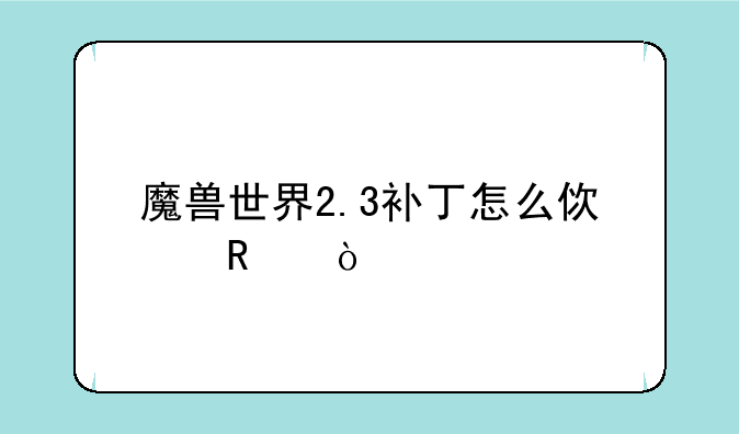 魔兽世界2.3补丁怎么使用？