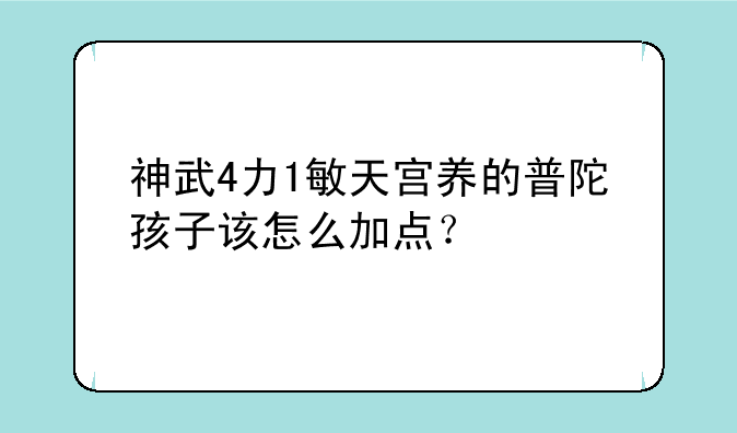 神武4力1敏天宫养的普陀孩子该怎么加点？