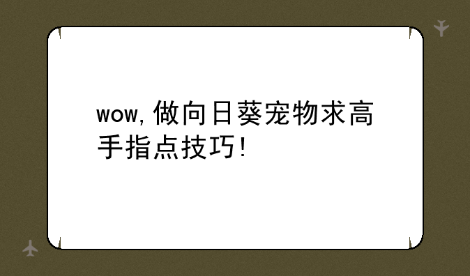 wow,做向日葵宠物求高手指点技巧!