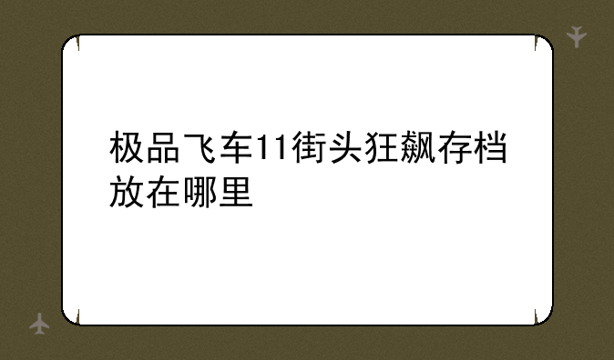 极品飞车11街头狂飙存档放在哪里