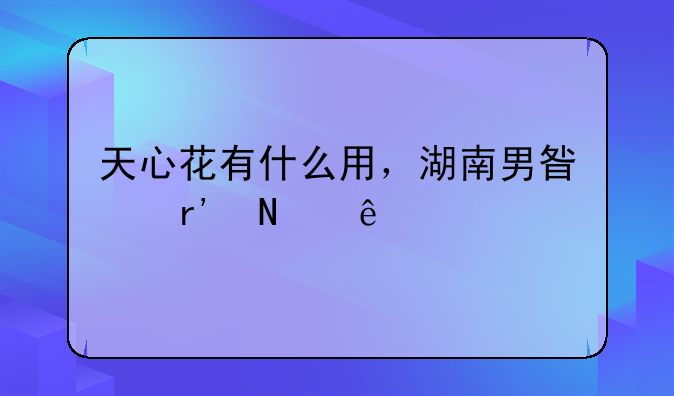 天心花有什么用，湖南男星有哪些