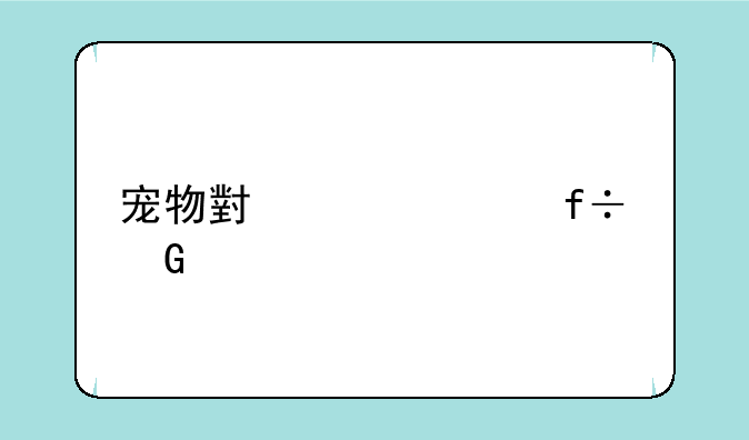 宠物小精灵白金版怎么去其他地区