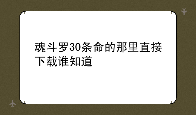 魂斗罗30条命的那里直接下载谁知道