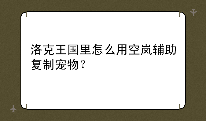 洛克王国里怎么用空岚辅助复制宠物？