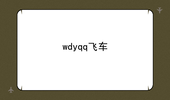 wdyqq飞车