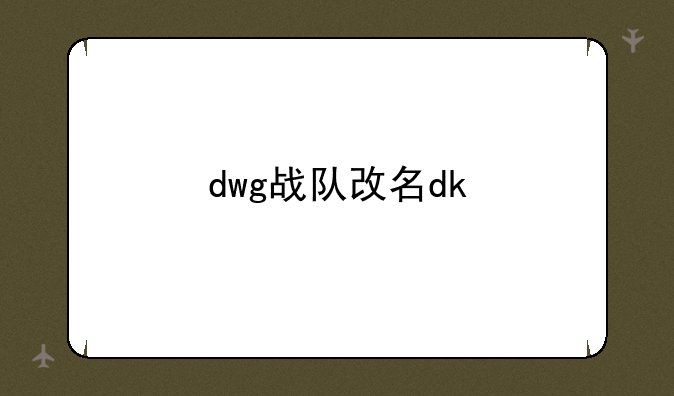dwg战队改名dk