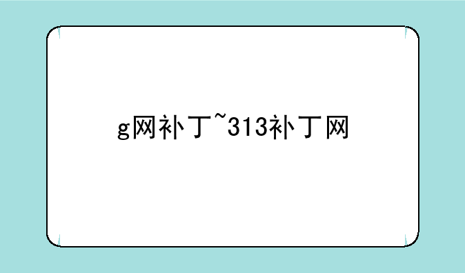 g网补丁~313补丁网