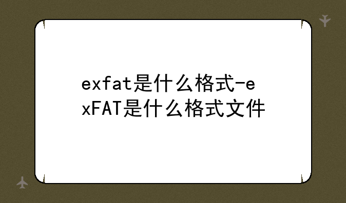 exfat是什么格式-exFAT是什么格式文件