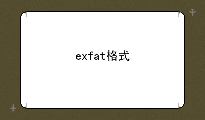 exfat格式