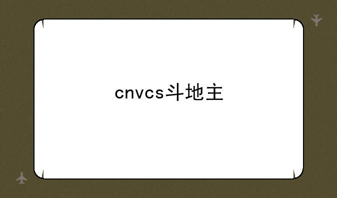cnvcs斗地主