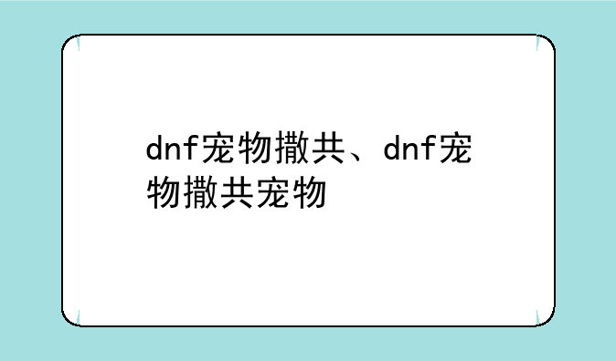 dnf宠物撒共、dnf宠物撒共宠物