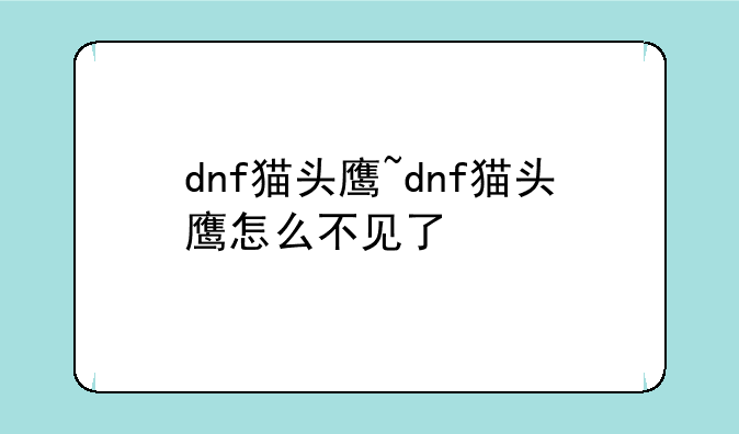 dnf猫头鹰~dnf猫头鹰怎么不见了