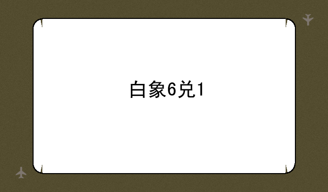 白象6兑1