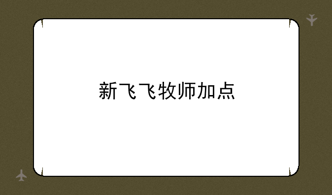 新飞飞牧师加点