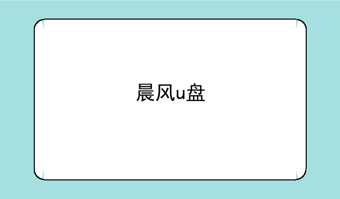 晨风u盘