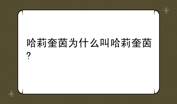 哈莉奎茵为什么叫哈莉奎茵?