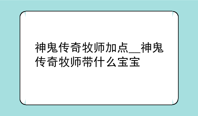 神鬼传奇牧师加点__神鬼传奇牧师带什么宝宝