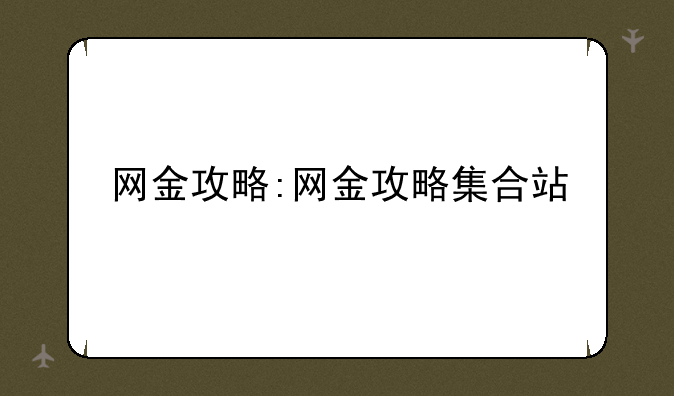 网金攻略:网金攻略集合站