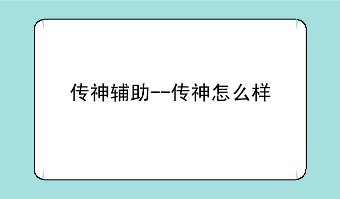 传神辅助--传神怎么样