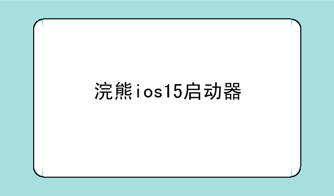 浣熊ios15启动器