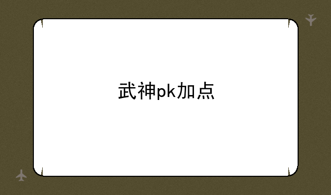 武神pk加点