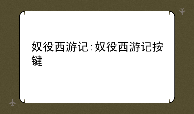 奴役西游记:奴役西游记按键