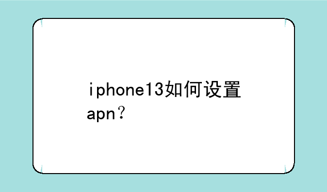 iphone13如何设置apn？