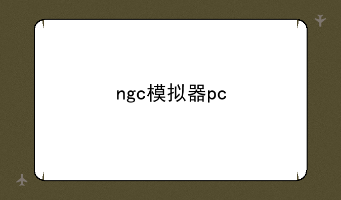 ngc模拟器pc