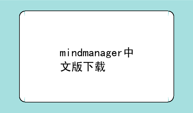 mindmanager中文版下载